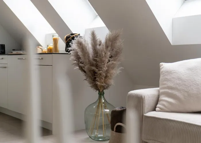 Modern Next To Hb With Roof Terrace Apartment Zürich